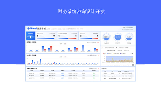 财务系统咨询设计开发